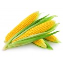 Nasiony kukurydzy